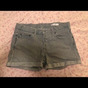 Anine Bing Shorts Size 8!